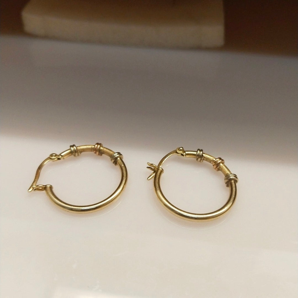 ARRACADAS PAR ORO 10 K 2,40 GRMS (SEMINUEVO)