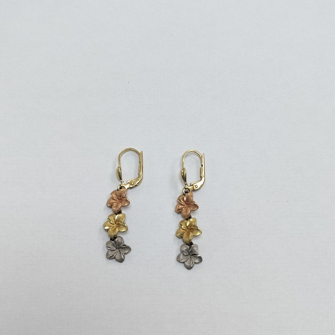 ARETES PAR ORO 14 K 3.1 GRMS (SEMINUEVO)