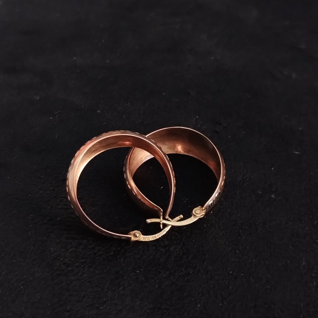 ARETES PAR ORO 10 K 3,40 GRMS (SEMINUEVO)