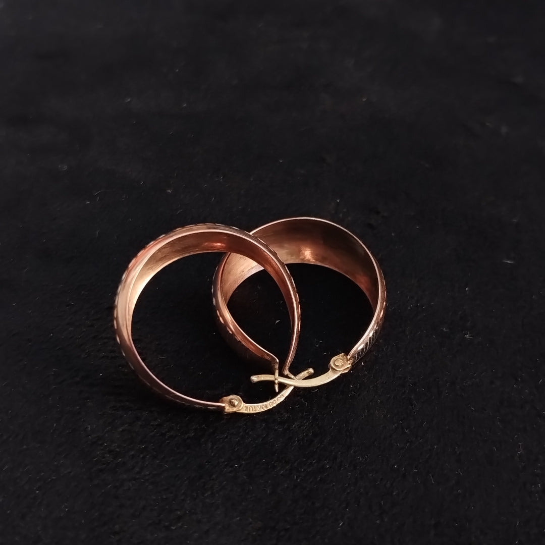 ARETES PAR ORO 10 K 3,40 GRMS (SEMINUEVO)