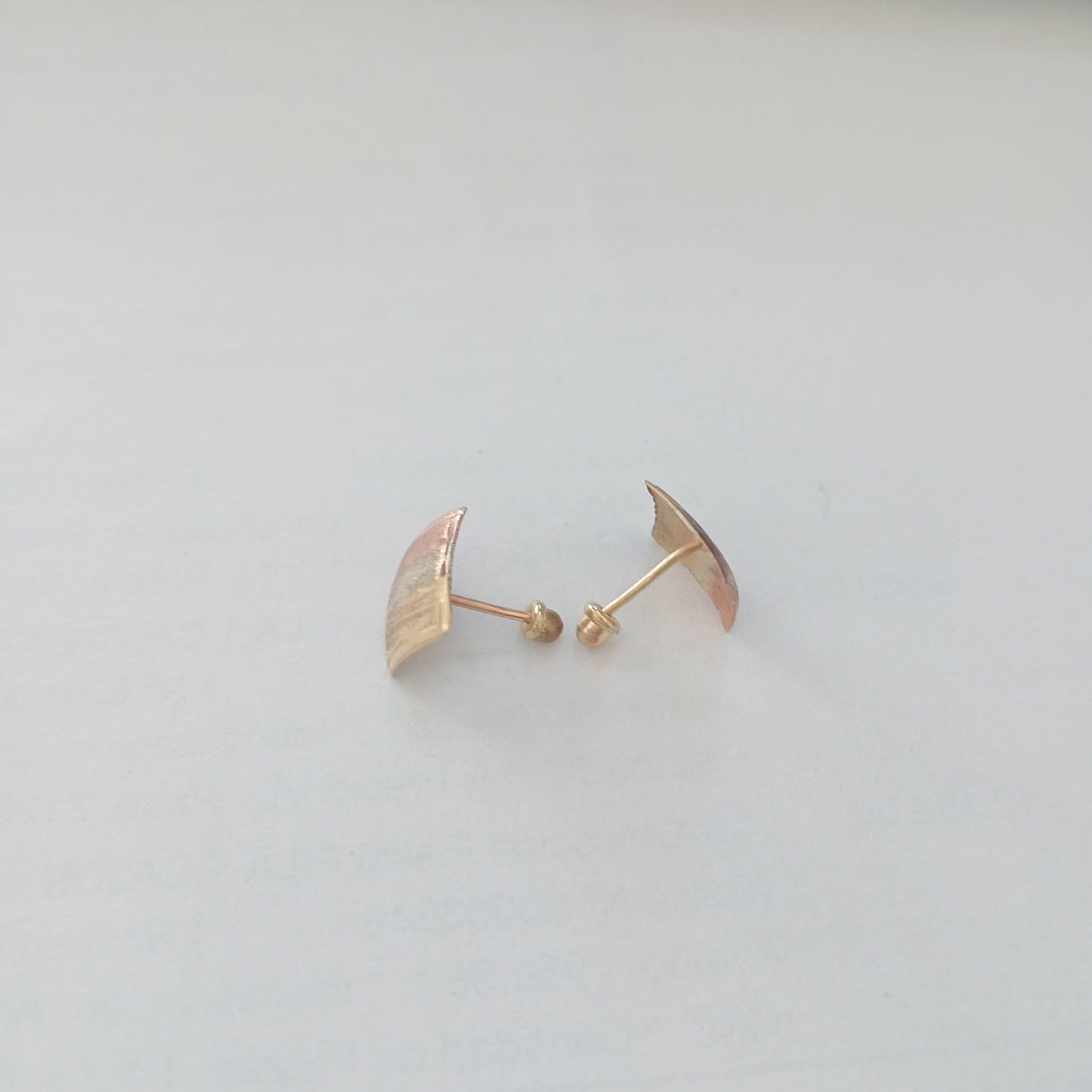 ARETES PAR ORO 10 K 0.4 GRMS (SEMINUEVO)