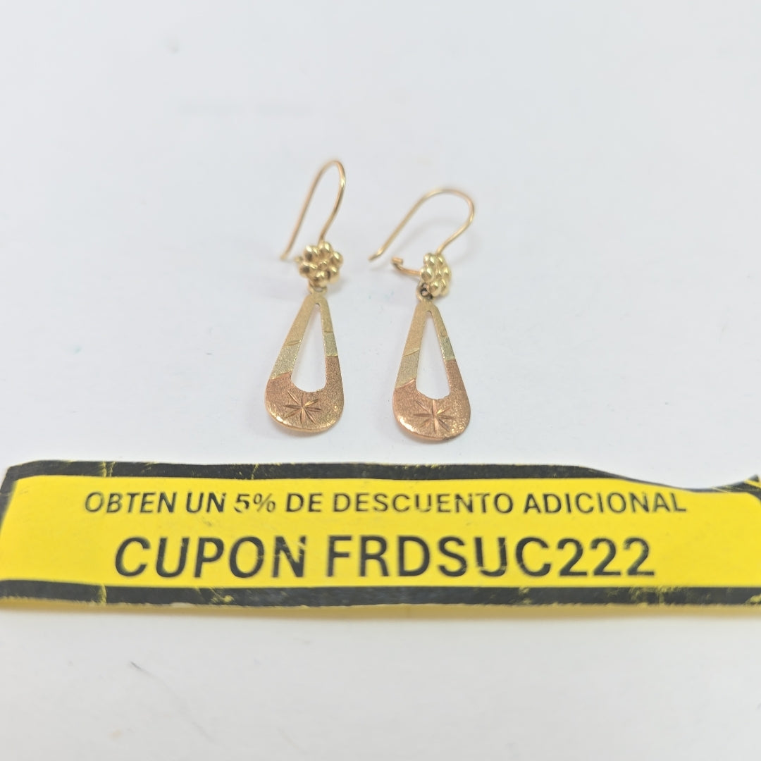 ARETES PAR ORO 10 K 1.1 GRMS (SEMINUEVO)