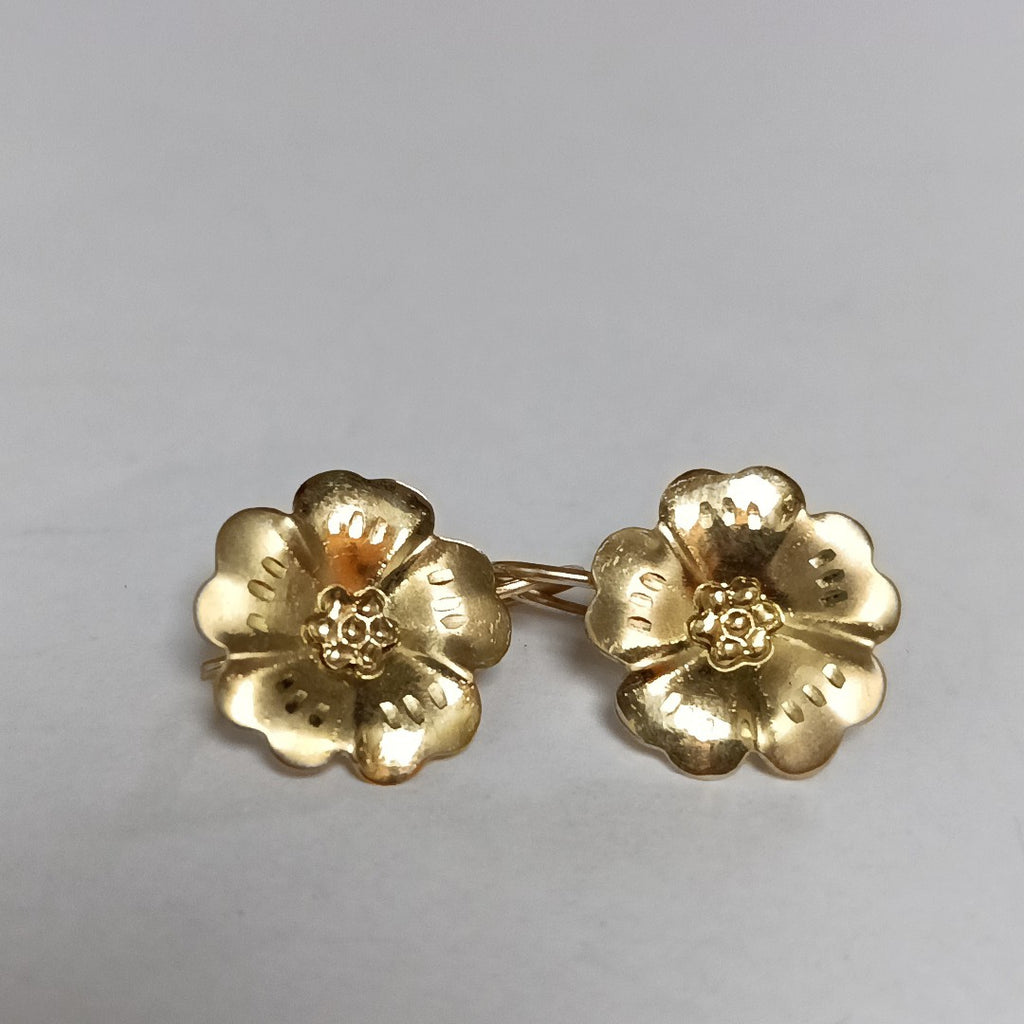 ARETES PAR ORO 10 K 1.7 GRMS (SEMINUEVO)