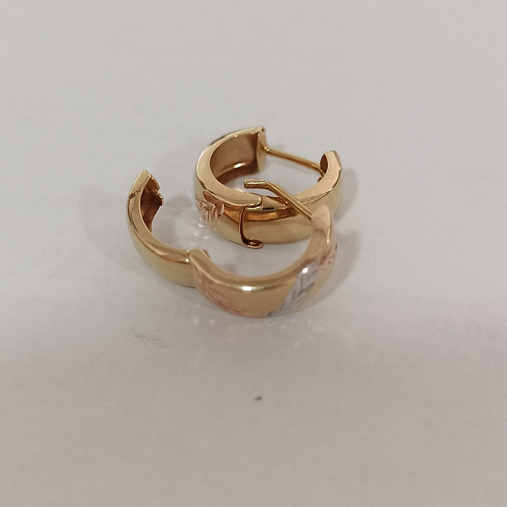 ARRACADAS PAR ORO, ORO COMBINADO 14 K 1.3 GRMS (SEMINUEVO)