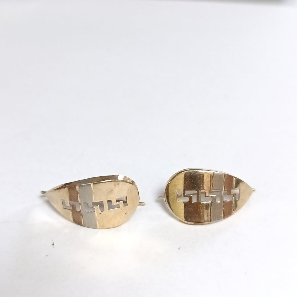 ARETES PAR ORO 10 K 1.9 GRMS (SEMINUEVO)