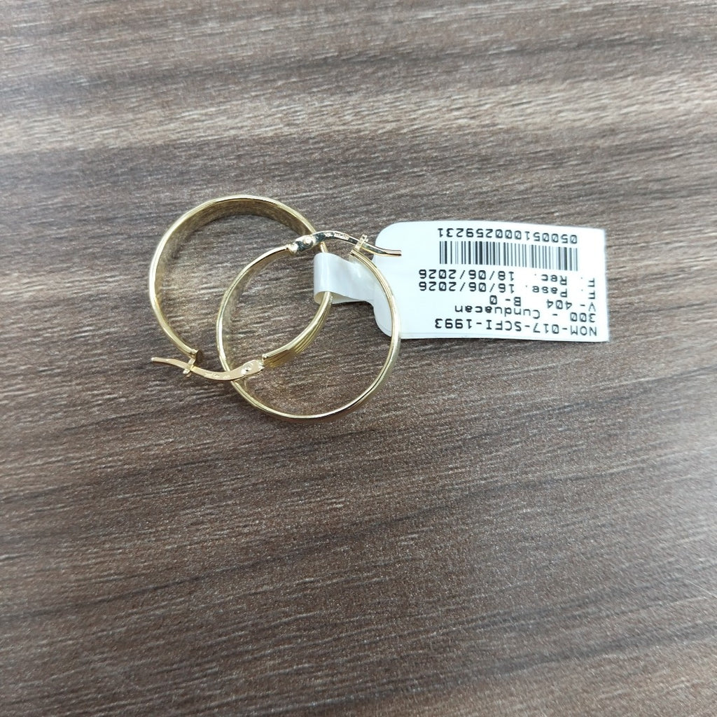 ARRACADAS ORO 10K 2 (NUEVO)