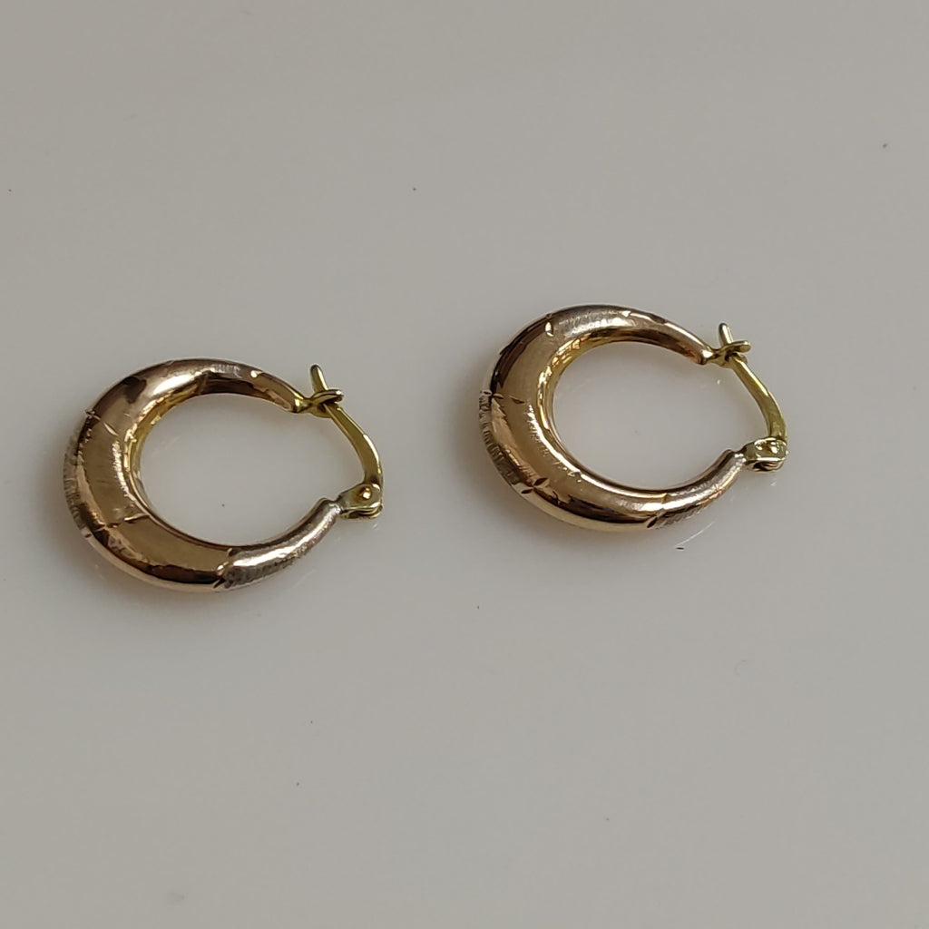 ARETES PAR ORO 10 K 1.4 GRMS (SEMINUEVO)