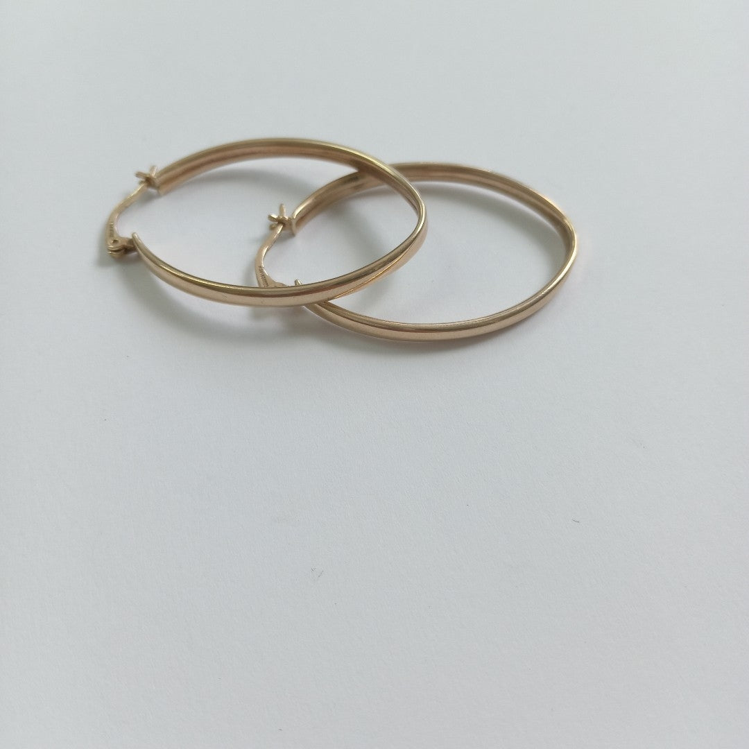ARRACADAS PAR ORO 10 K 4.3 GRMS (SEMINUEVO)