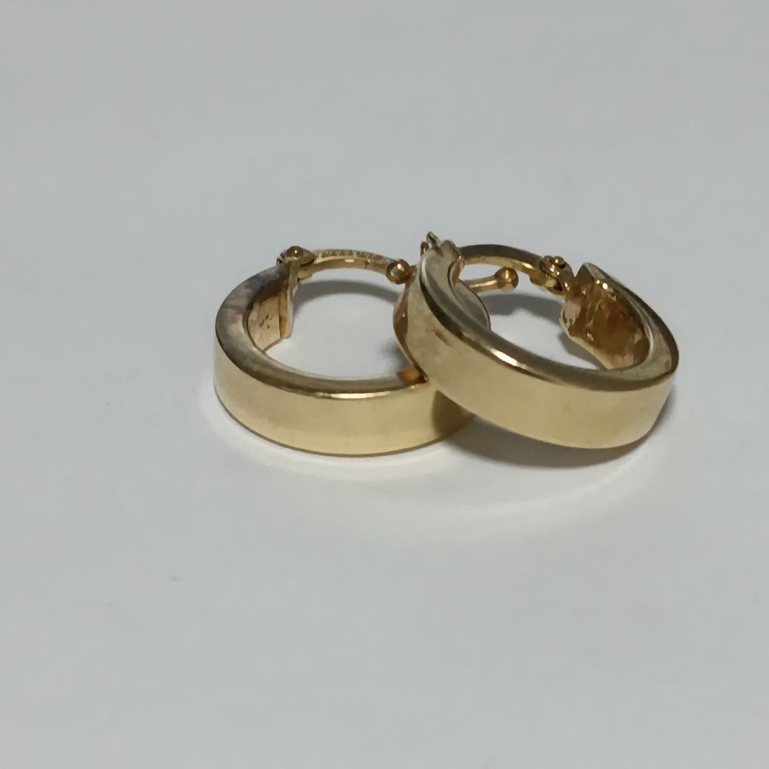 ARRACADAS PAR ORO 10 K 1.7 GRMS (SEMINUEVO)