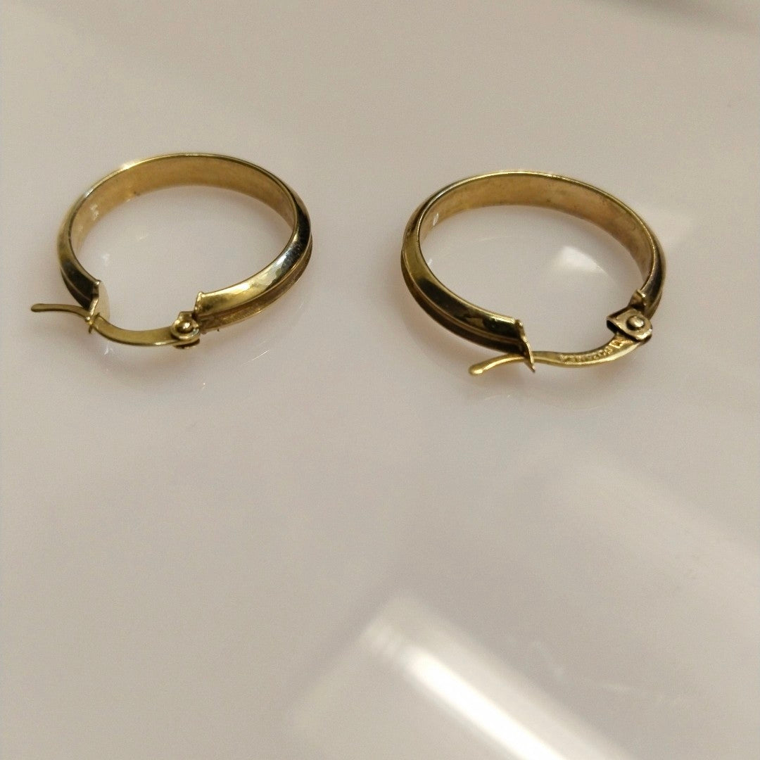 ARRACADAS PAR ORO 10 K 2,00 GRMS (SEMINUEVO)