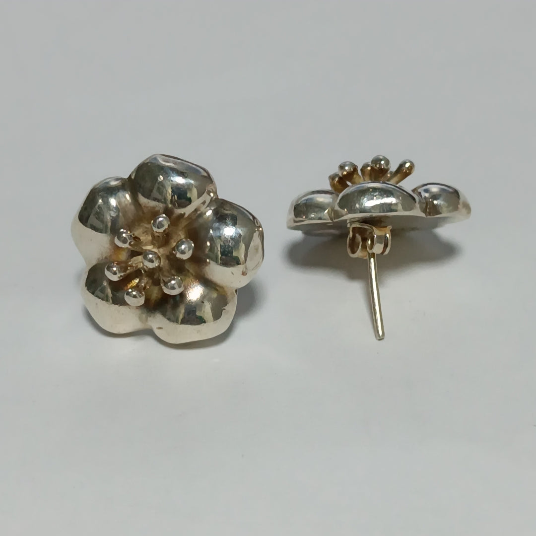 ARETES PAR PLATA 11.8 GRMS (SEMINUEVO)
