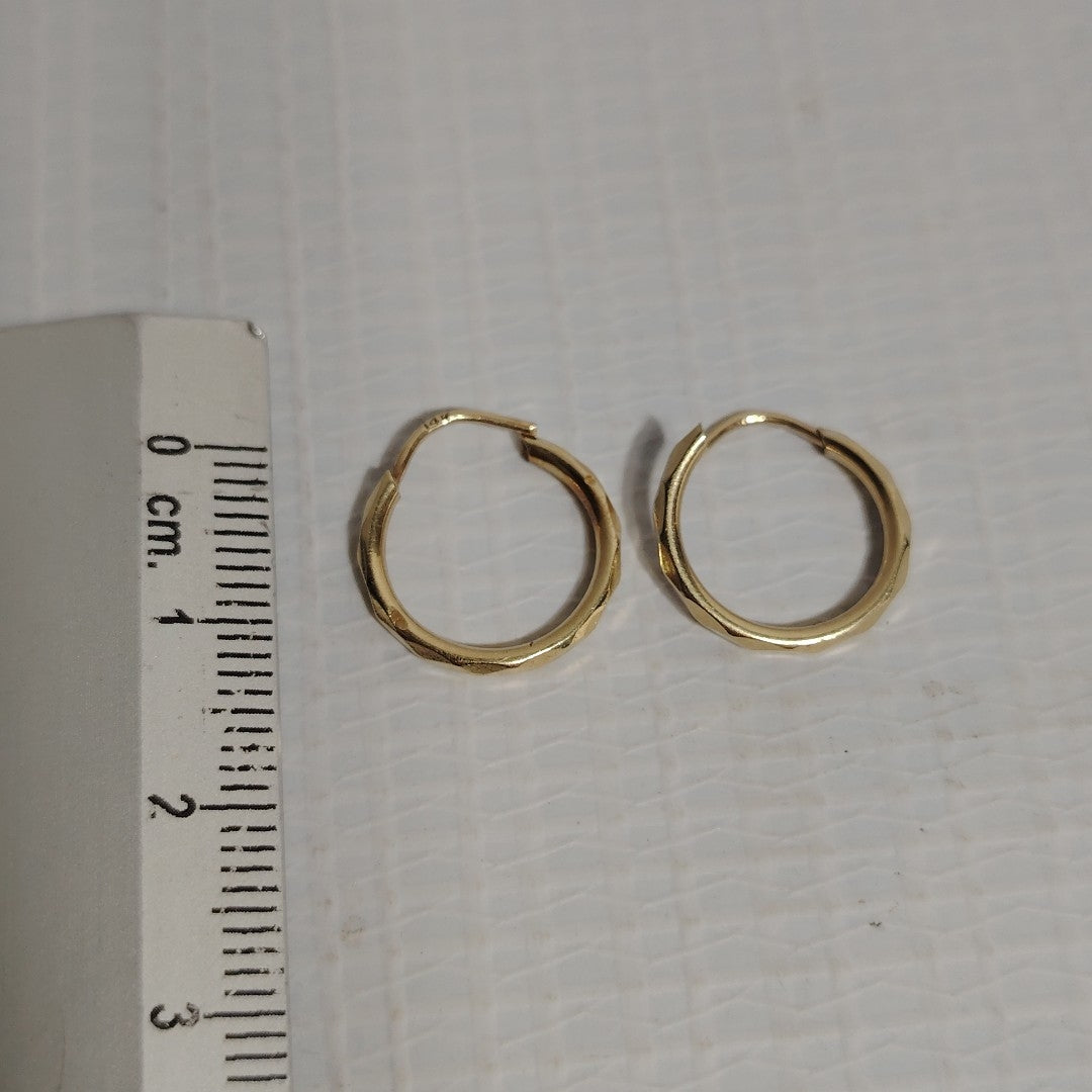 ARRACADAS PAR ORO 14 K 1 GRMS (SEMINUEVO)