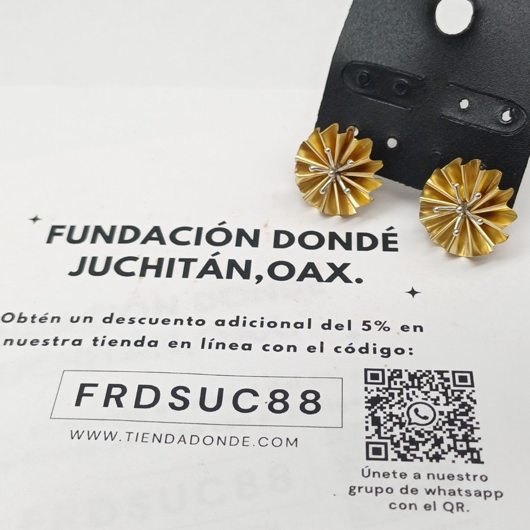 ARETES PAR ORO 14 K 5.3 GRMS (SEMINUEVO)