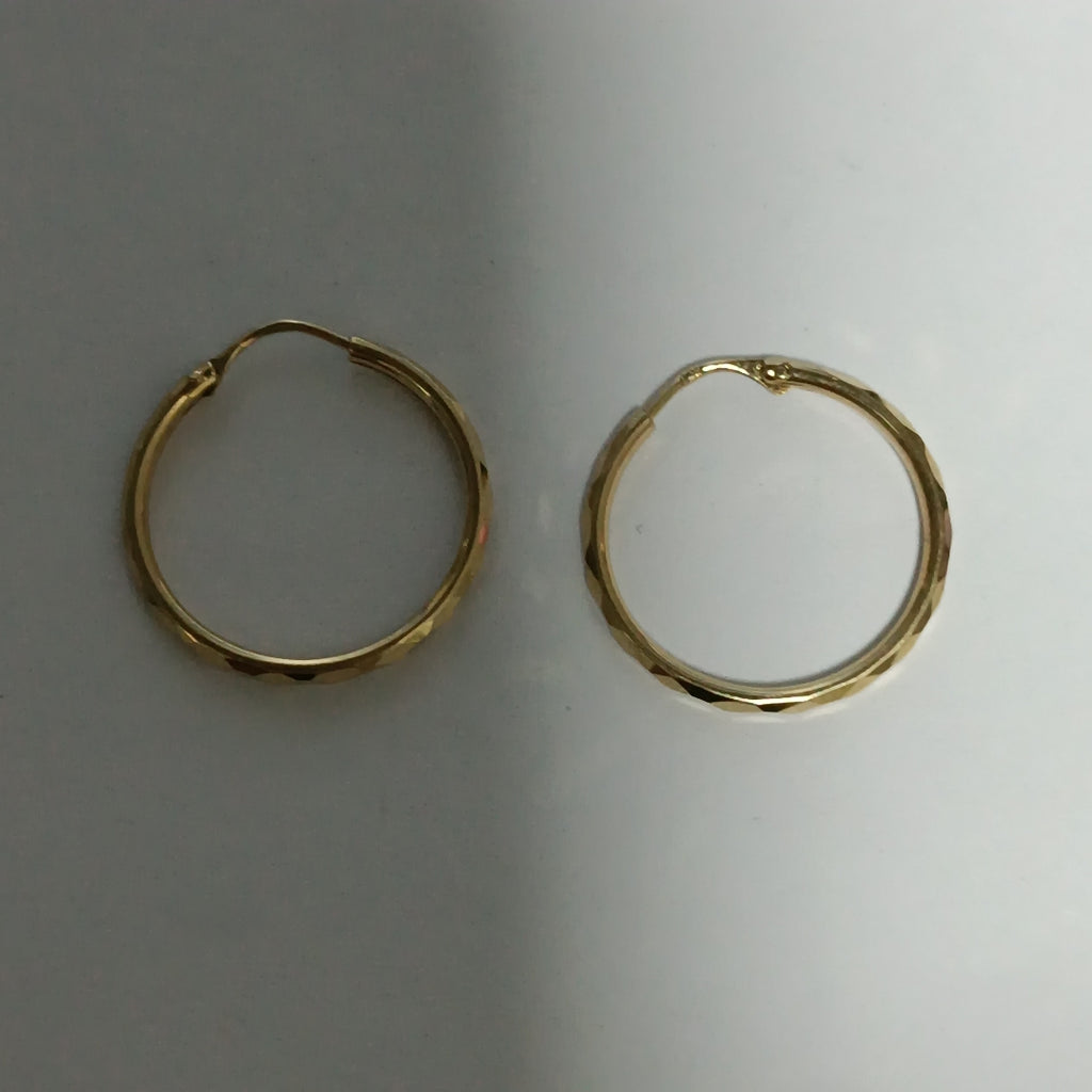 ARRACADAS PAR ORO 10 K 0.9 GRMS (SEMINUEVO)