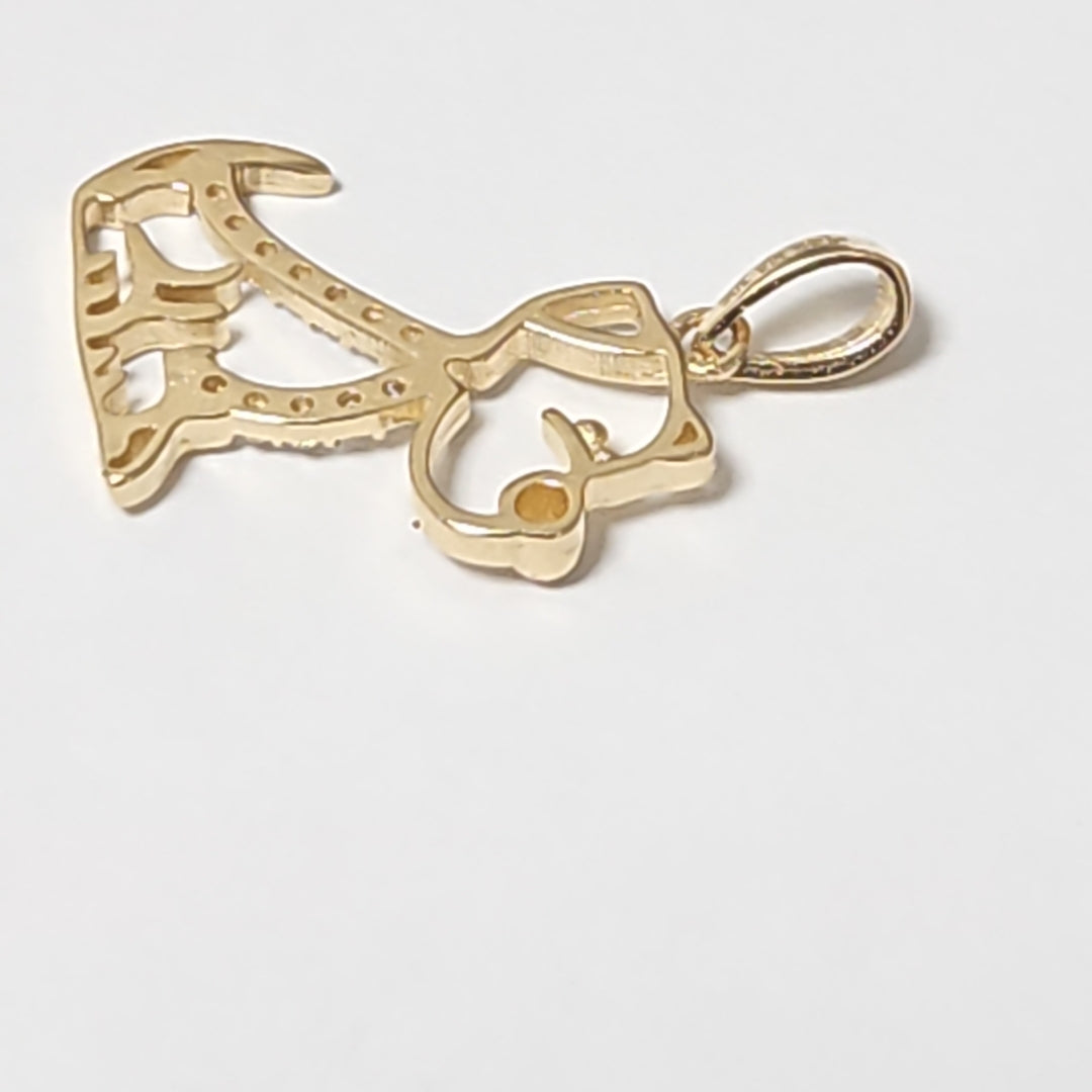 DIJES ORO 14K 1.1 (NUEVO)
