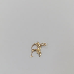 DIJES ORO 14K 0.9 (NUEVO)