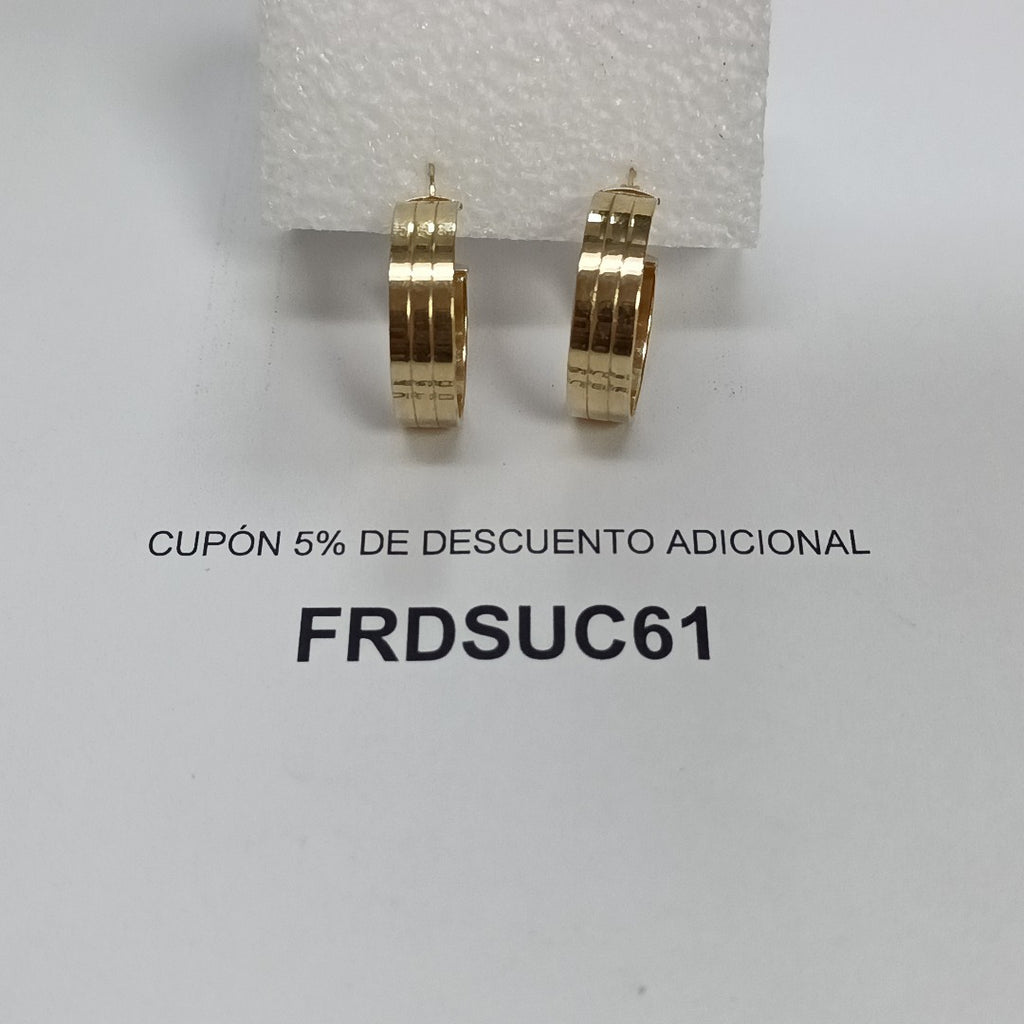 ARRACADAS PAR ORO 14 K 4.3 GRMS (SEMINUEVO)