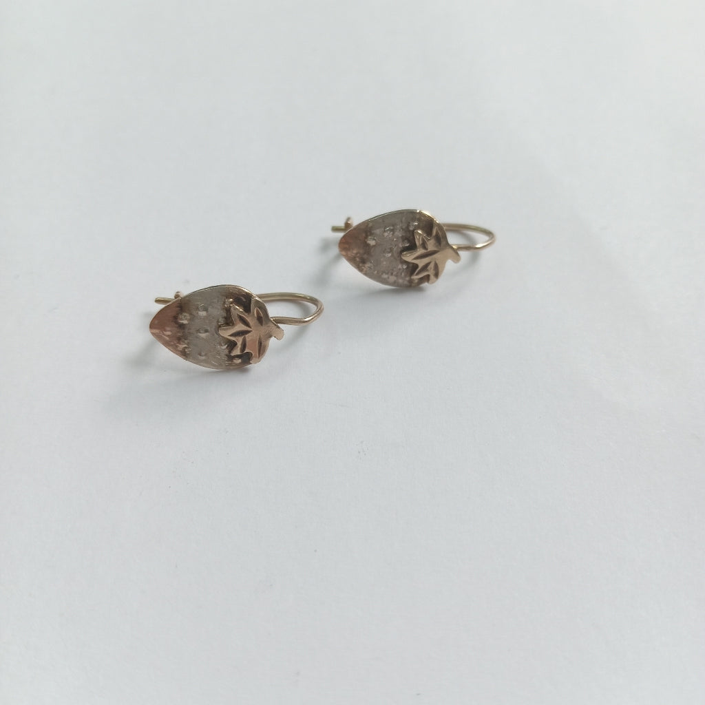 ARETES PAR ORO 10 K 1,80 GRMS (SEMINUEVO)
