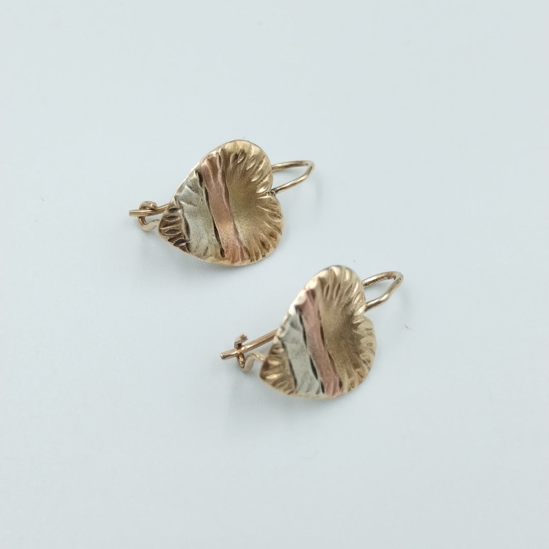 ARETES PAR ORO 10 K 1,90 GRMS (SEMINUEVO)