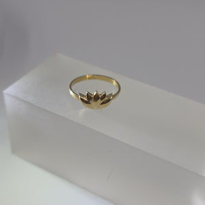 ANILLOS DAMA ORO 10K 1.3 (NUEVO)