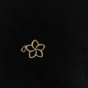 DIJES ORO 14K 1.7 (NUEVO)