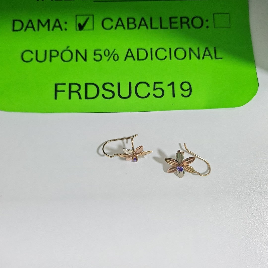 ARETES PAR ORO 10 K 1,50 GRMS (SEMINUEVO)