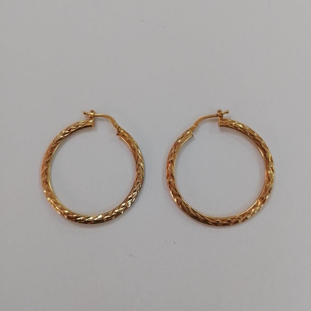 ARRACADAS PAR ORO 10 K 2.4 GRMS (SEMINUEVO)