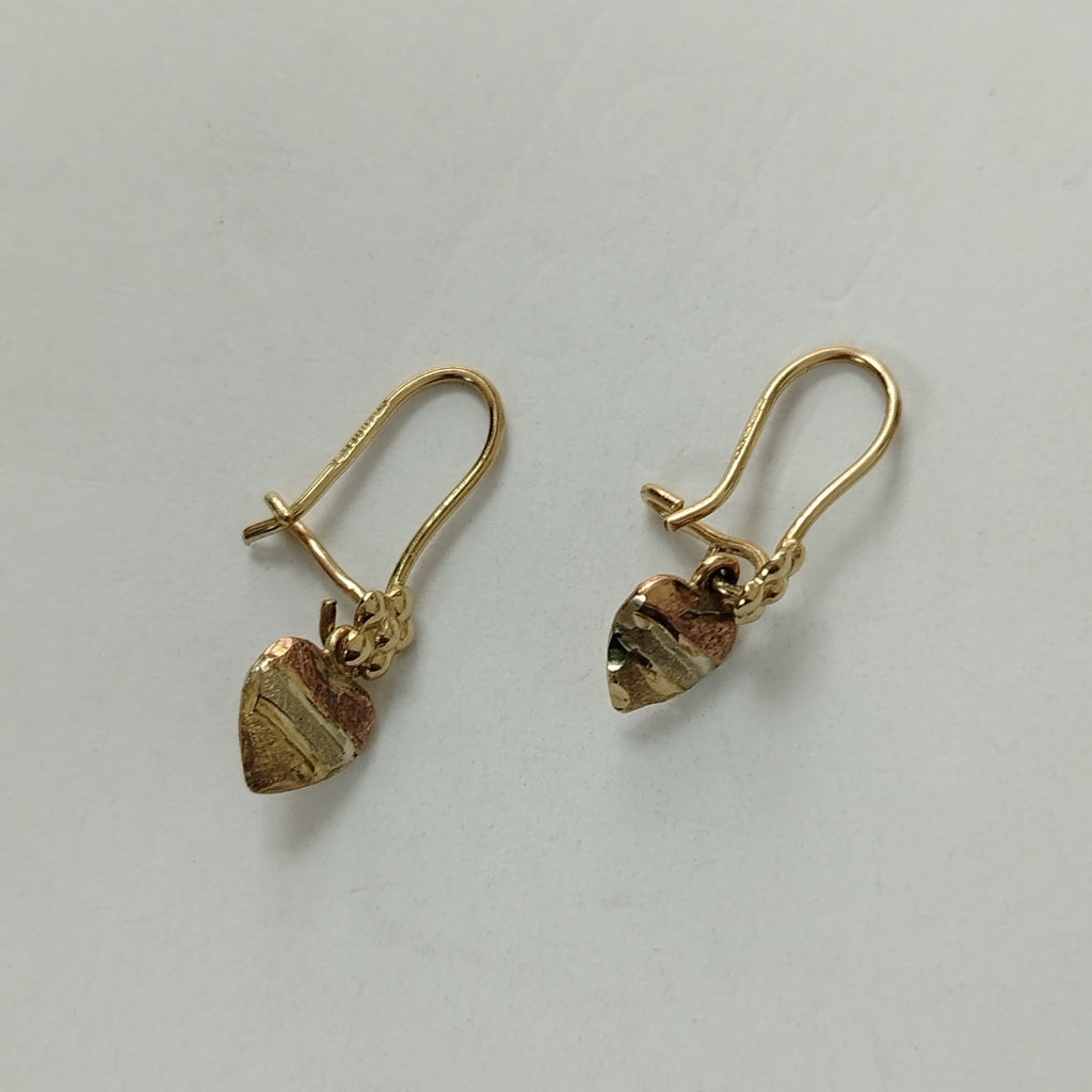 ARETES PAR ORO 10 K 1.1 GRMS (SEMINUEVO)