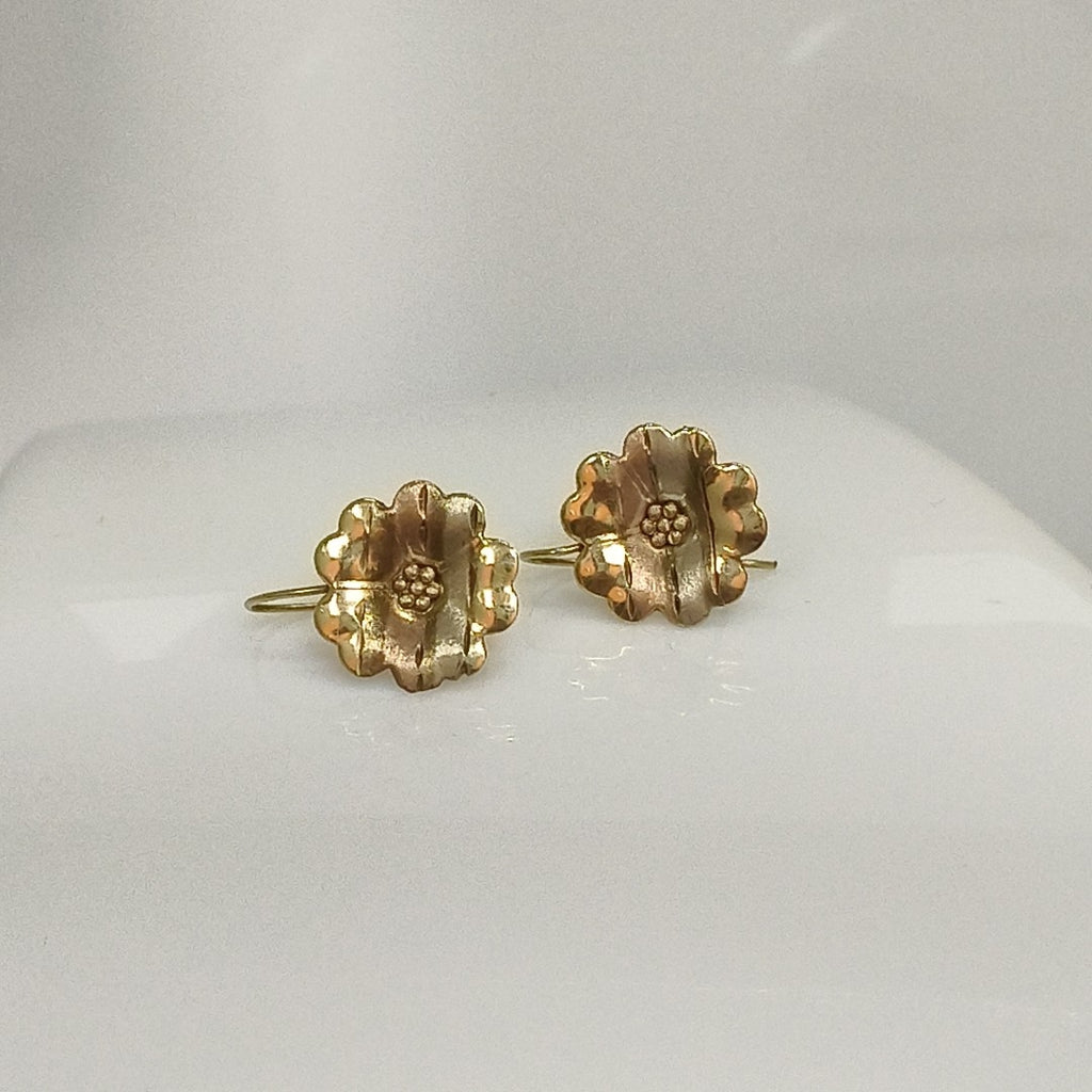 ARETES PAR ORO 10 K 1,20 GRMS (SEMINUEVO)