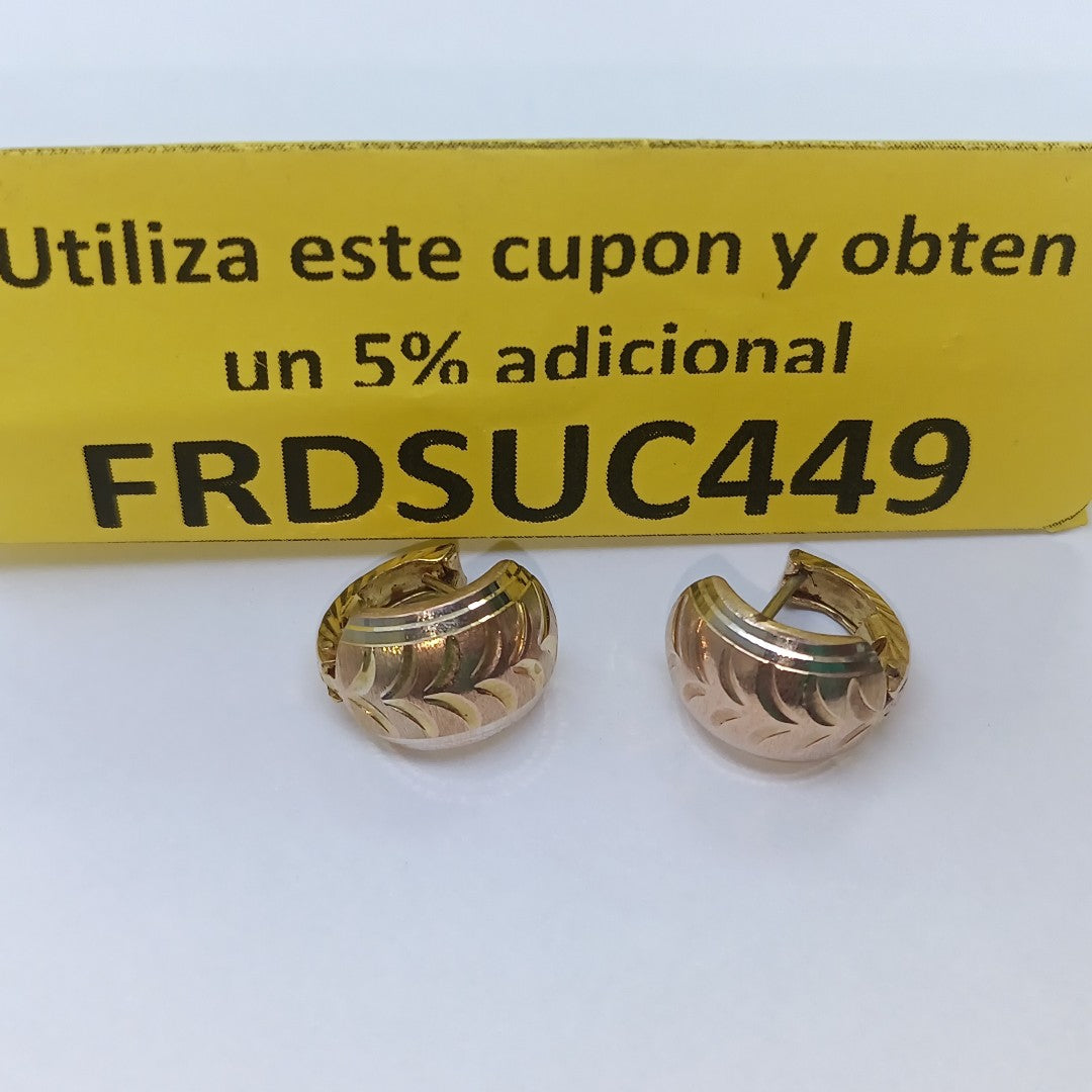ARETES PAR ORO 10 K 2.7 GRMS (SEMINUEVO)