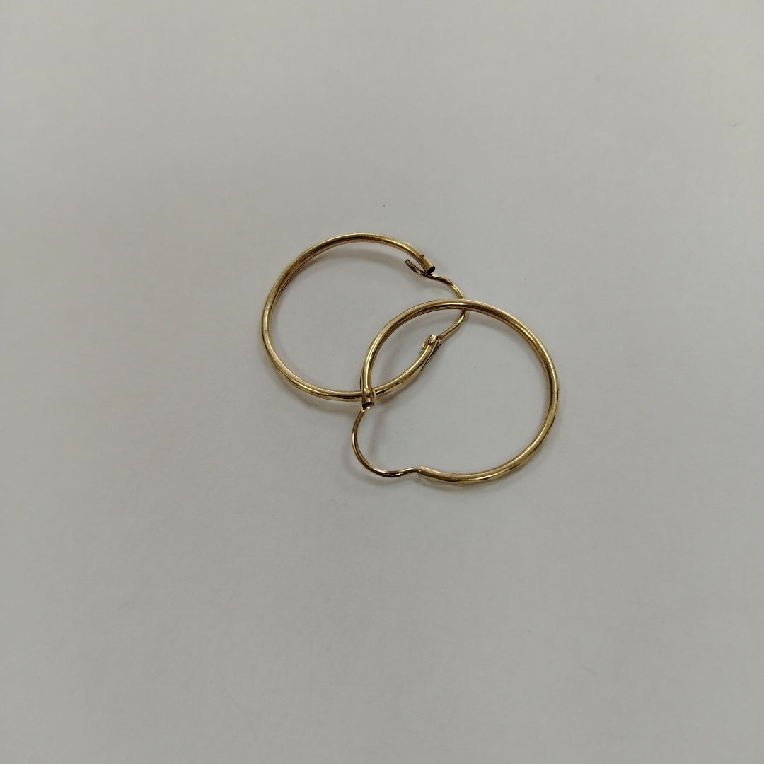 ARRACADAS PAR ORO 10 K 1.1 GRMS (SEMINUEVO)