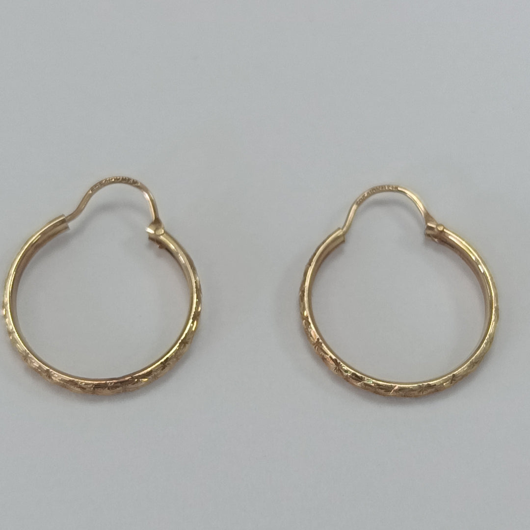 ARETES PAR ORO 10 K 1.4 GRMS (SEMINUEVO)