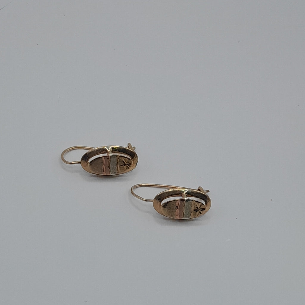 ARETES PAR ORO 10 K 1.4 GRMS (SEMINUEVO)