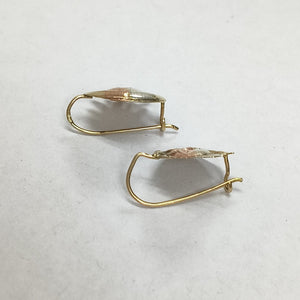 ARETES PAR ORO 8 K 1.4 GRMS (SEMINUEVO)