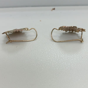 ARETES PAR ORO 10 K 1.5 GRMS (SEMINUEVO)