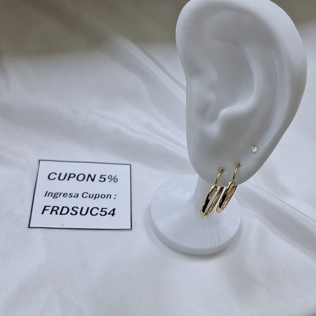 ARRACADAS PAR ORO 10 K 1.3 GRMS (SEMINUEVO)