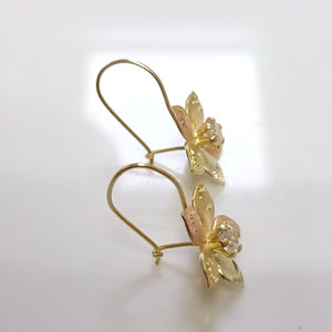 ARETES PAR ORO, ORO COMBINADO 10 K 1.7 GRMS (SEMINUEVO)