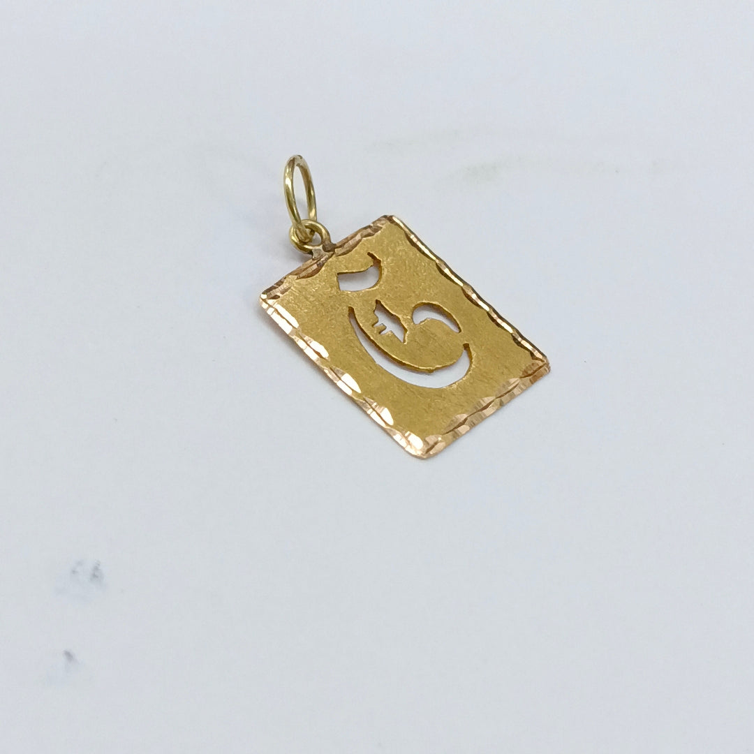 DIJE ORO 14 K 0,50 GRMS (SEMINUEVO)