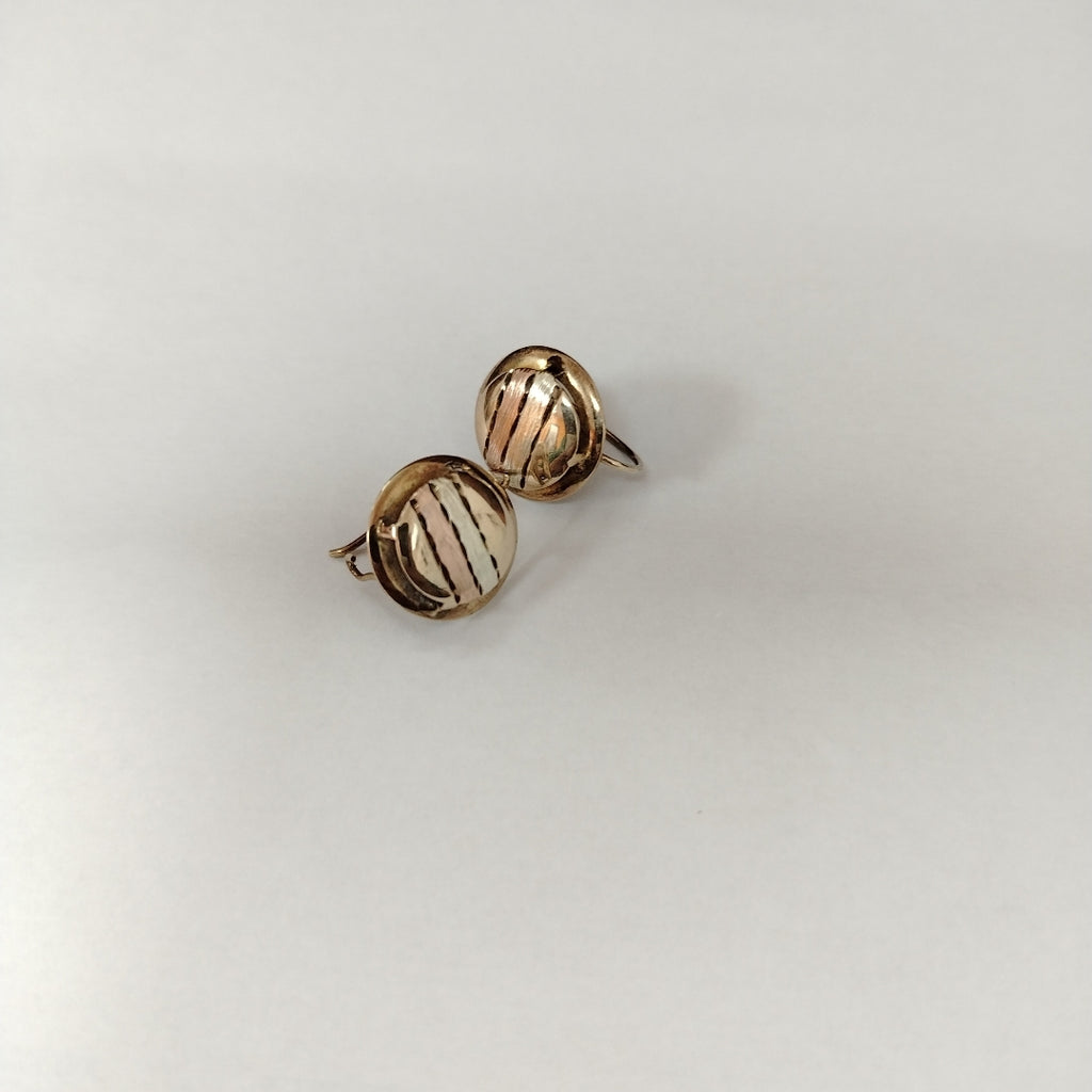 ARETES PAR ORO 10 K 1.6 GRMS (SEMINUEVO)