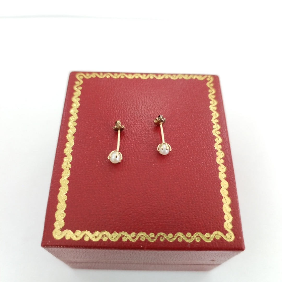 BROQUELES PAR ORO 14 K 0,20 GRMS (SEMINUEVO)