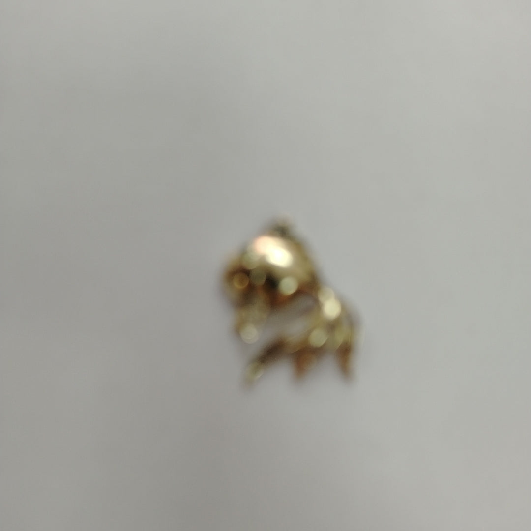 DIJE ORO 10 K 2,90 GRMS (SEMINUEVO)