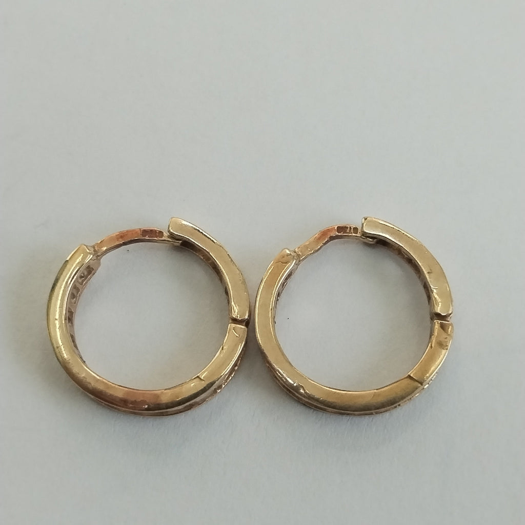 ARETES PAR ORO 10 K 2.3 GRMS (SEMINUEVO)