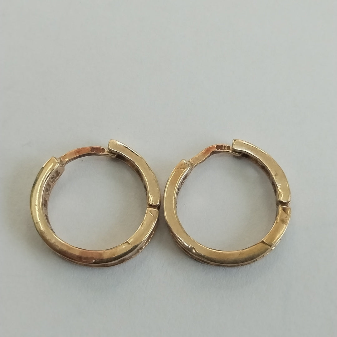 ARETES PAR ORO 10 K 2.3 GRMS (SEMINUEVO)