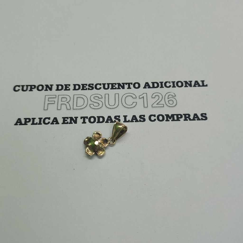 DIJE ORO 10 K 1 GRMS (SEMINUEVO)