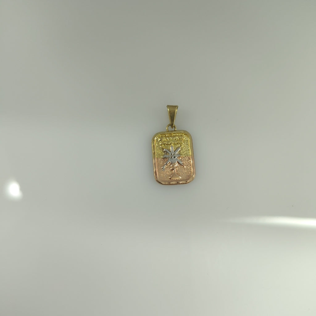 MEDALLA CONMEMORATIVA ORO COMBINADO 10 K 0.2 GRMS (SEMINUEVO)
