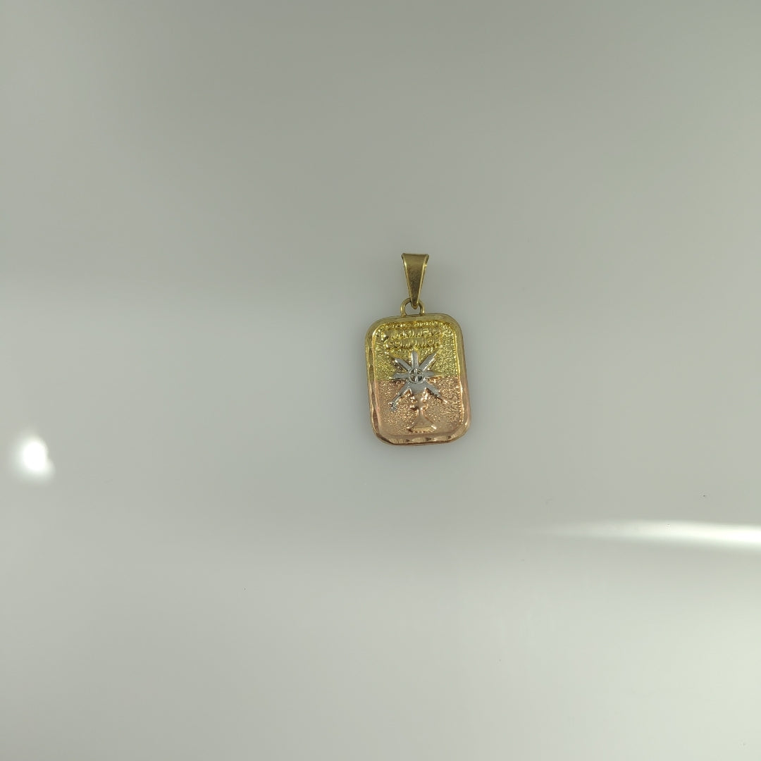 MEDALLA CONMEMORATIVA ORO COMBINADO 10 K 0.2 GRMS (SEMINUEVO)