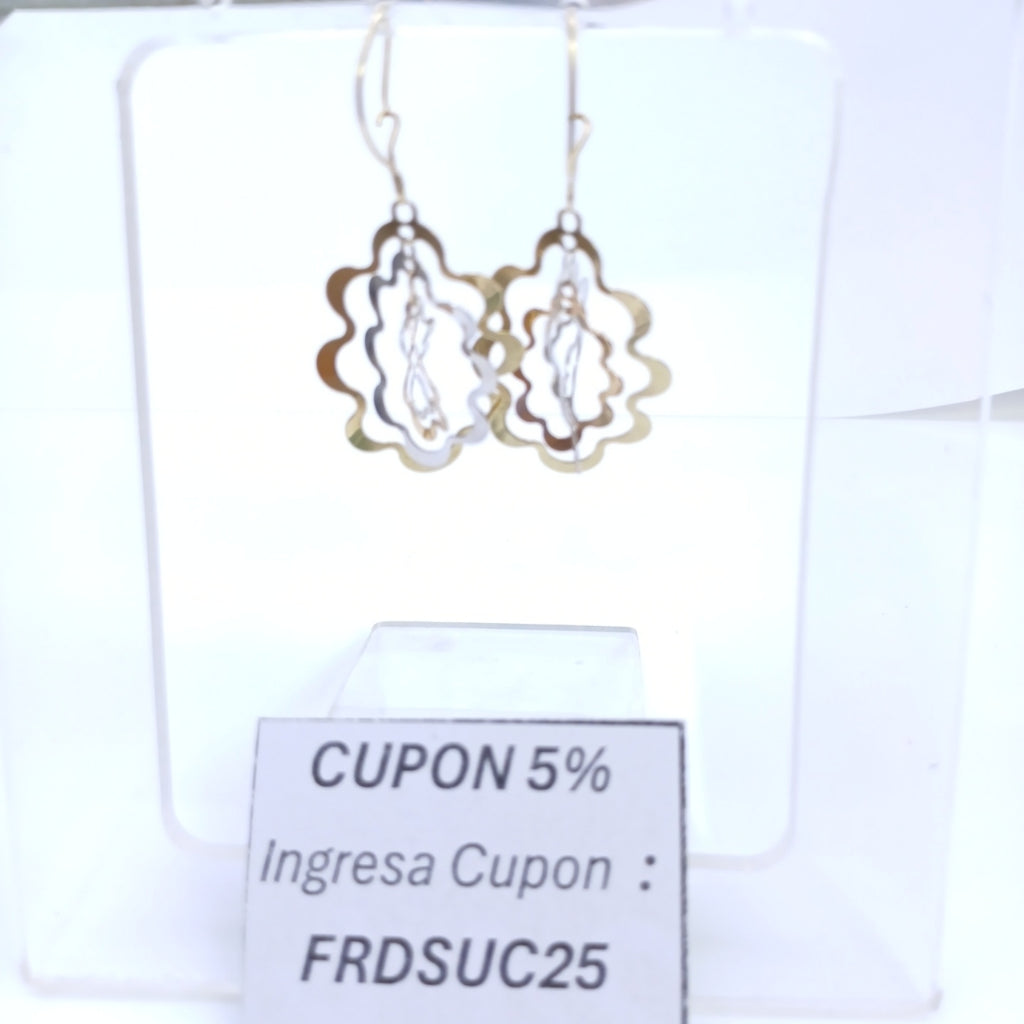 ARETES PAR ORO 10 K 2,70 GRMS (SEMINUEVO)
