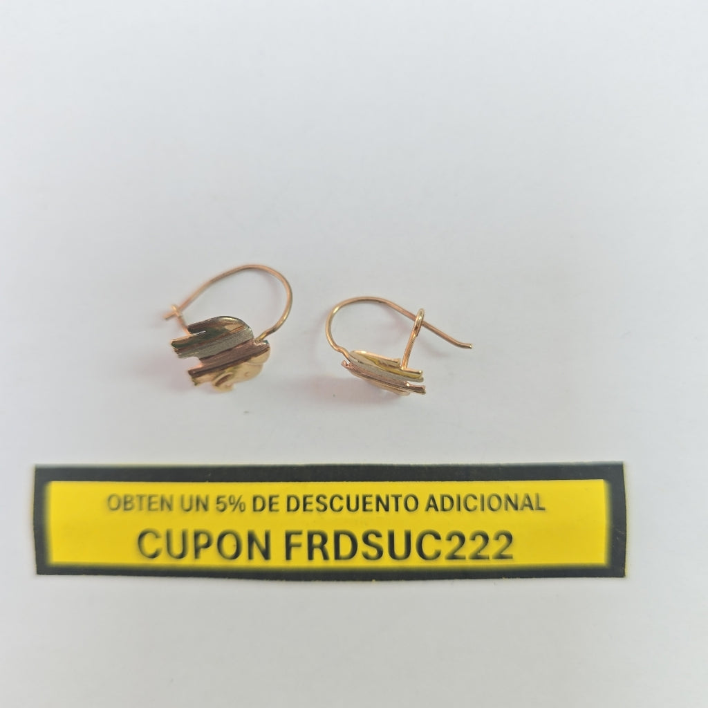 ARETES PAR ORO 10 K 1.1 GRMS (SEMINUEVO)