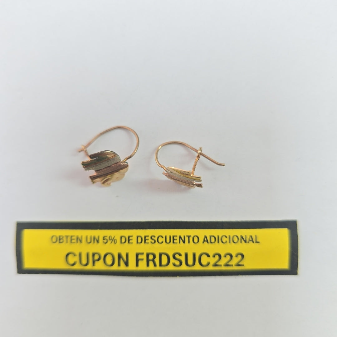 ARETES PAR ORO 10 K 1.1 GRMS (SEMINUEVO)