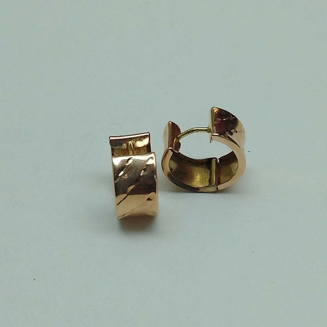 ARRACADAS PAR ORO 10 K 2.2 GRMS (SEMINUEVO)